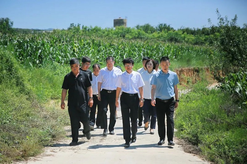 201724118230624702.jpg 0801武安村2.jpg